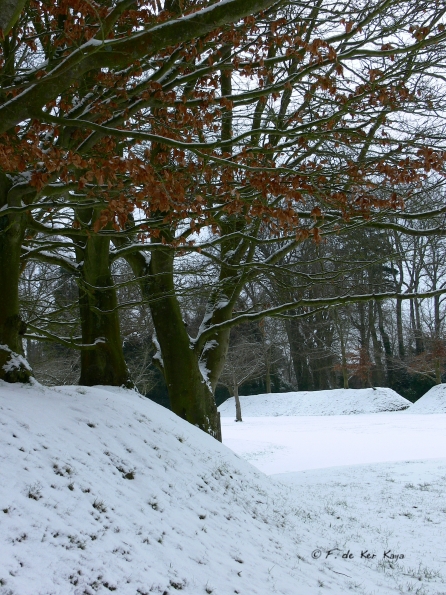 Bois des Moutiers Winterreise (8)